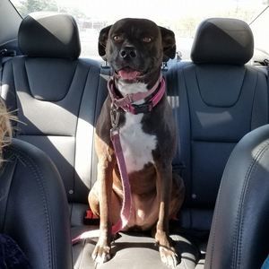 Meet your Posher, Stacy